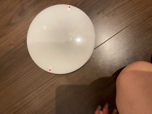 電気傘　ライト