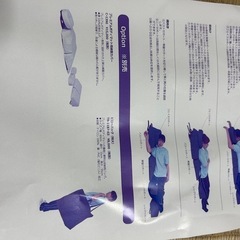 未使用 Takada Bed プレミアムボディマット　ブルーの画像