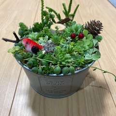 取り引き中)寄せ植え ブリキ缶①