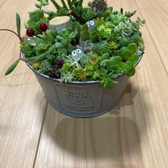 取り引き中)寄せ植えブリキ缶②