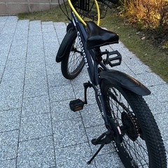 男の子　自転車20インチの画像