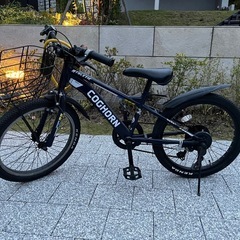 男の子　自転車20インチの画像