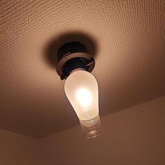 💡電球の画像