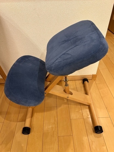 RiZKiZ バランスチェア ブルー系
