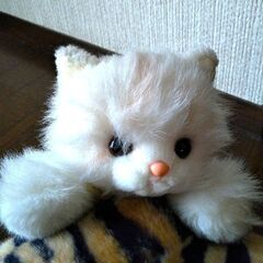 小さい子猫のぬいぐるみ 約32cm プリモの画像