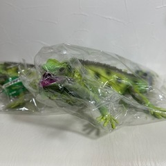 ◎BIGイグアナフィギュア◎2点セット
の画像