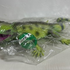 ◎BIGイグアナフィギュア◎2点セット
の画像