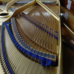 カワイ KG-5C 【内部調整/外装研磨美装/調律済】KAWAI カワイ KG-5C 【内部調整/外装研磨美装/調律済】KAWAI 鍵盤楽器