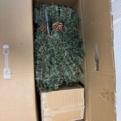 
クリスマスツリーの画像