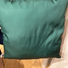 ジュラシックワールド、クッションの画像