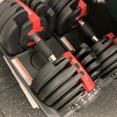 引き取り手決まりました