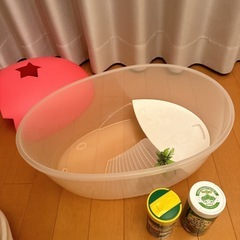 カメ 飼育 おうちセット エサ カルキ抜き液 セット