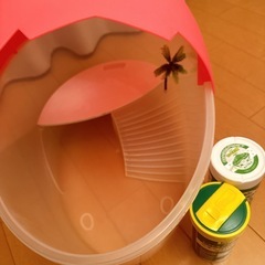 カメ 飼育 おうちセット エサ カルキ抜き液 セットの画像