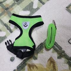 犬用ハーネスとリードの画像