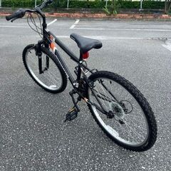 (取引き中)ロードマスター マウンテンバイクの画像