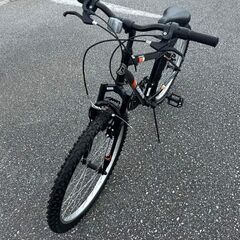 (取引き中)ロードマスター マウンテンバイクの画像