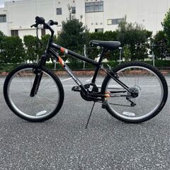 (取引き中)ロードマスター マウンテンバイクの画像