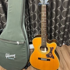 【ジャンク】Epiphone / EF-500RCCE