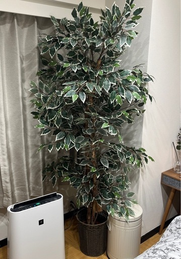 フェイクグリーン 高さ約180cm
