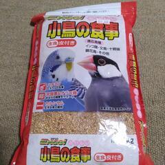 小鳥のごはん　殻付き