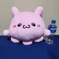 らぶいーず『ぴょんちー』ペア購入割り引きします