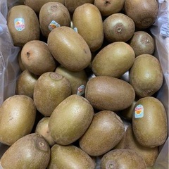 【本日限定価格】サンゴールドキウイ　箱売りの画像