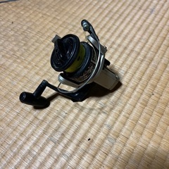 ダイワリールの画像