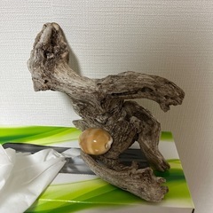 ジュピターの画像