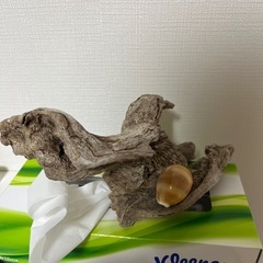 ジュピターの画像