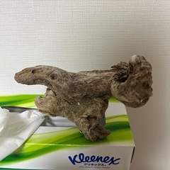 ジュピターの画像