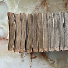 カゲトラ　1〜11巻の画像