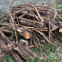 伐採木・枝をもらって下さい。引き取り限定　
