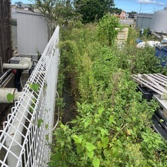 草刈り　刈込み　お任せ下さい。(剪定や高所作業車を使った伐採もご相談下さい) - 豊橋市