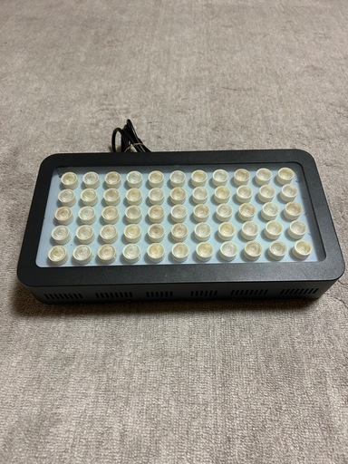 海水魚　熱帯魚　LEDライト　ブラックボックス
