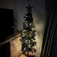クリスマスツリーの画像