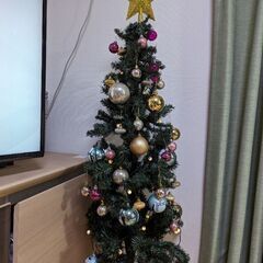 クリスマスツリーの画像