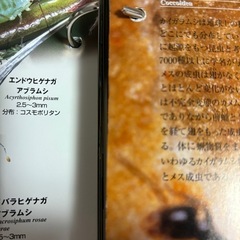 ディアゴスティーニの昆虫色々図鑑の画像