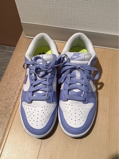 NIKE ダンクロー　(25size)