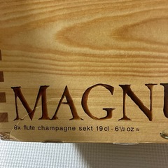 Royal LeerdamのMAGNUMフルートグラス 4脚セットの画像