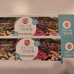 京成バラ園　無料　優待チケット　2枚