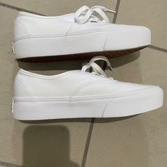 Vans スニーカーの画像