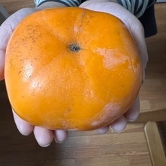農園のさわし柿　10kg (40個)