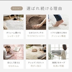モダンデコ シャギーラグ アイスグレーの画像