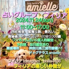 占いイベントinドックカフェアミエル