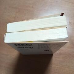 小説2冊セット☆悪の強典の画像