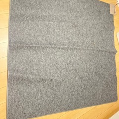 【問い合わせ希望】ホットカーペット
