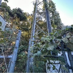 現場職or営業