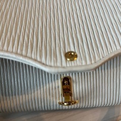 ハナエモリ　ショルダーバッグの画像