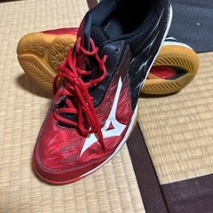 ミズノ バドミントンシューズ 27.5