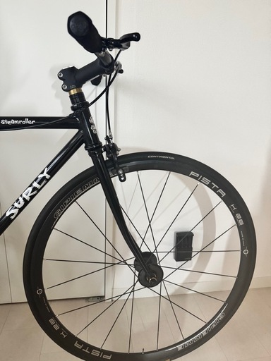 surly サーリー　スチームローラー　49